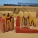 좋은우리치과의원 이미지