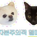 다우리몰