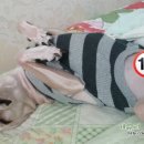 해랑일식 이미지