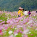비봉내마을 이미지