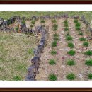 대굴령마을 이미지