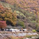 숲과개울펜션