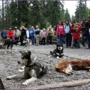 Sled Dog Demonstrations, Visitor Center, Horseshoe Lake Trail 이미지