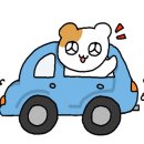 아센휘트니스 사우나 이미지