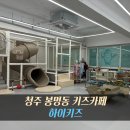 하이키즈카페 | 청주 무인 키즈카페 봉명동 하이키즈 후기