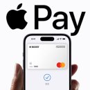 🚨드디어! 아이폰 교통카드 시대 개막! 💳 애플페이 티머니 공식 연동, 이제 지갑은 던져버리세요! 🚀
