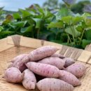 경훈농장 이미지