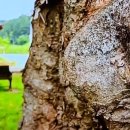 동호자동차공업사 이미지