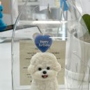 멈무푸드 이미지