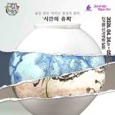 신나는 도자기 놀이(4월) | 2026 4월 5월 경기도 축제 총정리│4월 5월 경기도 가족·친구·아이와 가볼만한 곳 베스트 5
