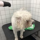 올리스24(세종점) 이미지