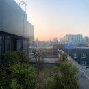 골드니스 Daum카페