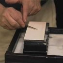 다은동물병원 이미지