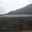안스퓨어팜