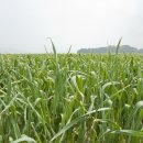 인제휘트니스 이미지