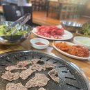 워킹도고 이미지