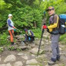 노고단-1 이미지