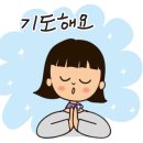 윌동물외상센터 이미지