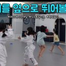 쌍용태권도 이미지