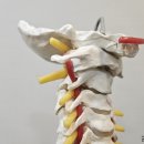 약수한의원 이미지