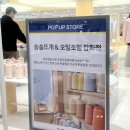 솜솜뜨개&amp;오밀조밀 잡화점 팝업 후기 (내새꾸들 전시🤍)