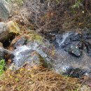 백상농장 이미지