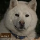 꼴딱꼴딱