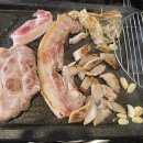 찐돈돼지 이미지