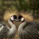 맛있는 세계여행 이미지