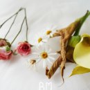 블루밍메모리 이미지