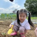 [체험학습] 오늘은 감자밭 꼬마농부🥔🧑🏼‍🌾 이미지