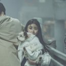 프로젝트이로 이미지
