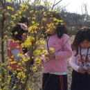 신영주유치원 이미지