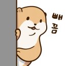 드림카오디오네비매립 이미지