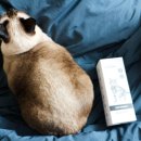 (주)부흥산업사 이미지