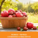밀양사과