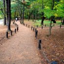 의암 스카이워크 이미지