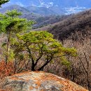 산성길9(벌객샘능선1, 2, 비와 찻잔 사이 / 양현경)