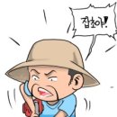 복숭이하우스_마리스텔라