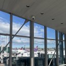 (주)스마트에어챔버 | 인천 홍콩 에어프레미아 와이드 프리미엄 왕복 이용 후기 좌석 비교