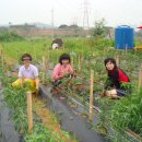 기순농장 이미지