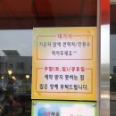 은행나무갈매기 이미지