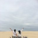시티팜 약국 | 호주 시드니 여행 일정 둘째 날 포트스테판 투어, 그릴드 버거, 호주 약국