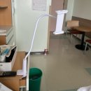 회진농장 | 4월의 기록