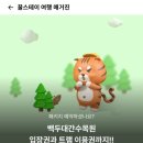 경북 봉화 펜션 테일즈힐 감성숙소 T-Sunset 숙박 후기