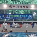 제17회 순천시장배 수영대회 톡톡뉴스