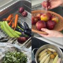 세라의 작은정원 이미지