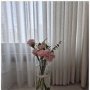 유니에플라워 이미지