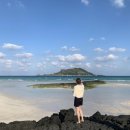 지금우리피크닉제주