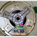 청정이원